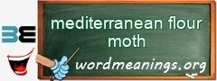 WordMeaning blackboard for mediterranean flour moth